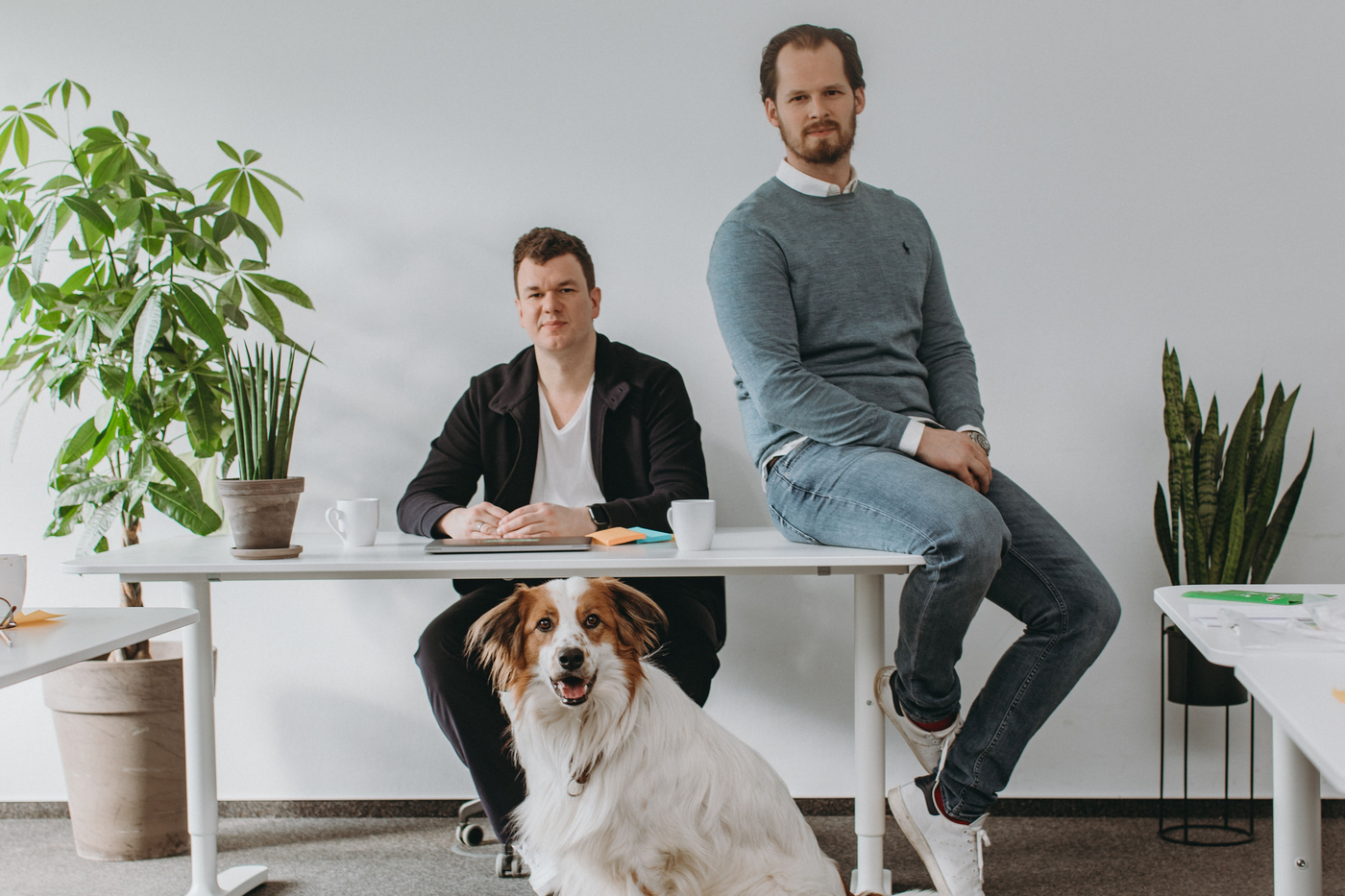 Burda invests in German pet health start-up